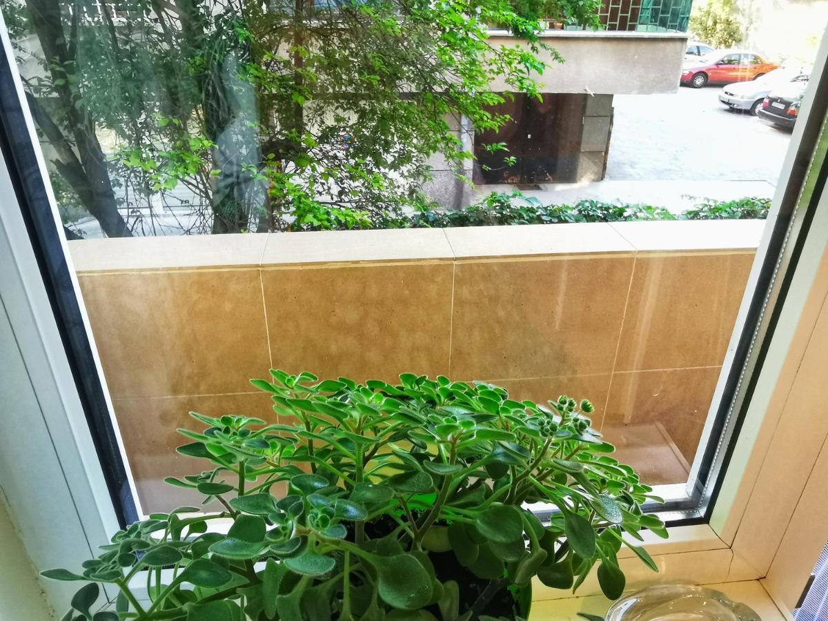 סופיה Rila Apartment מראה חיצוני תמונה