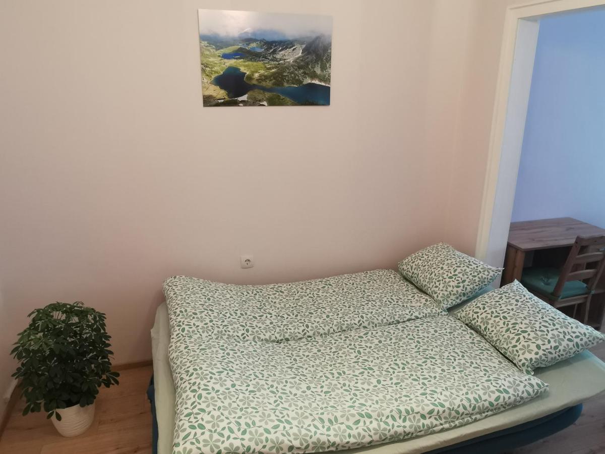 סופיה Rila Apartment מראה חיצוני תמונה